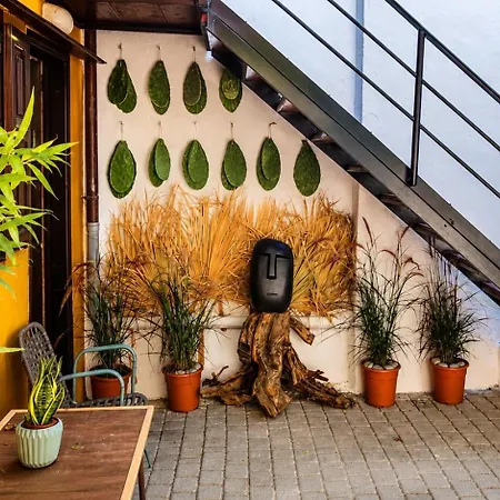 Rhodes Youth Hostel (Adults Only)-3